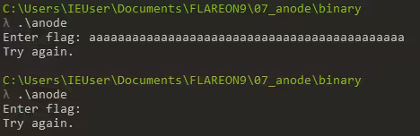 anode challenge binary output